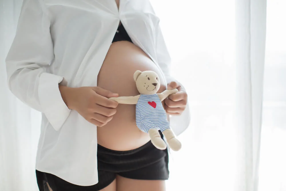 surrogate mother cost in Mexico
