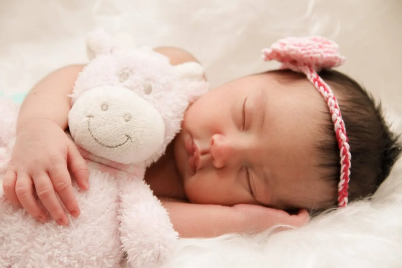 surrogate mother cost in Georgia